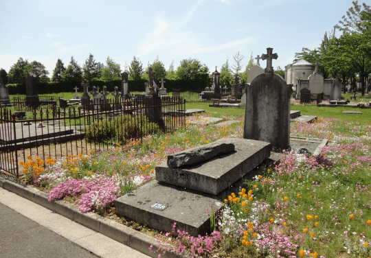 Photo du cimetière