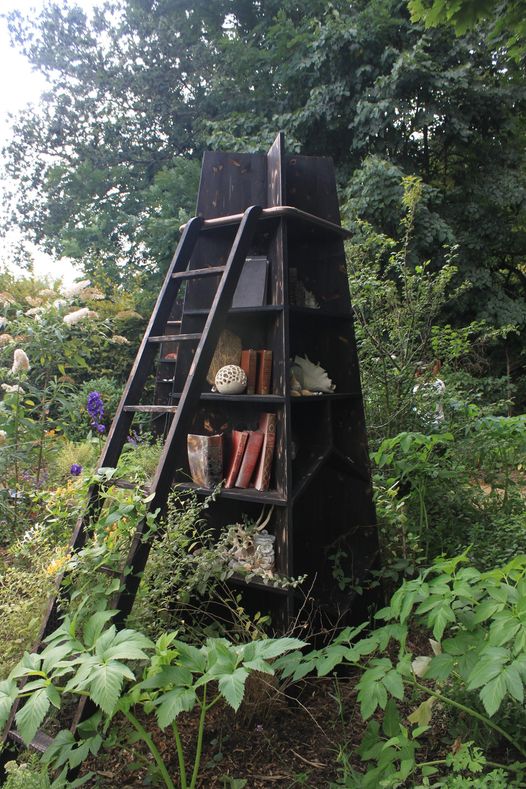 Photo d'une bibliothèque dans un arbre