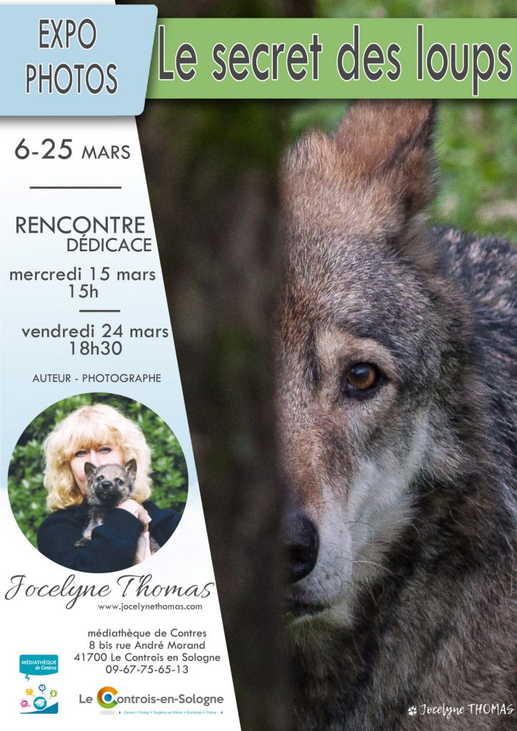 Exposition « Le secret des loups » de Jocelyne Thomas